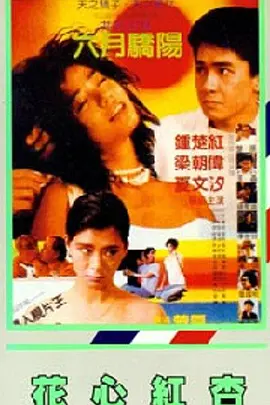 丁香婷婷六月